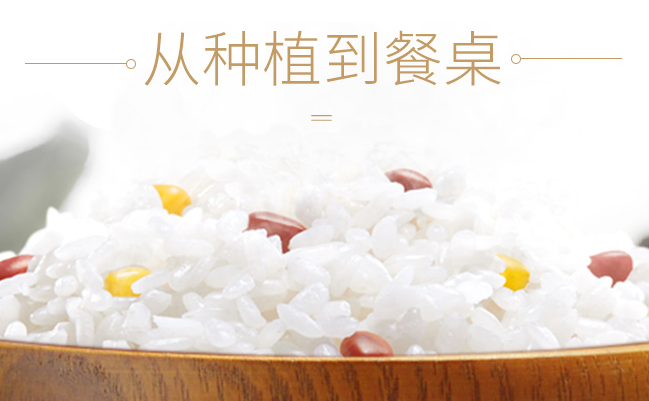 兴唐米 XINGTANG兴唐食品包装设计欣赏(图2)