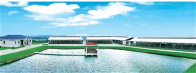 艾森牛奶 Asi艾森食品包装设计欣赏(图4)