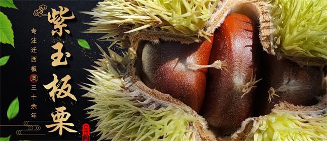 ZIYU紫玉食品包装设计欣赏(图2)