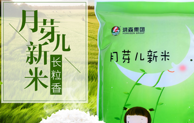 洪森 HONGSEN洪森食品包装设计欣赏(图4)