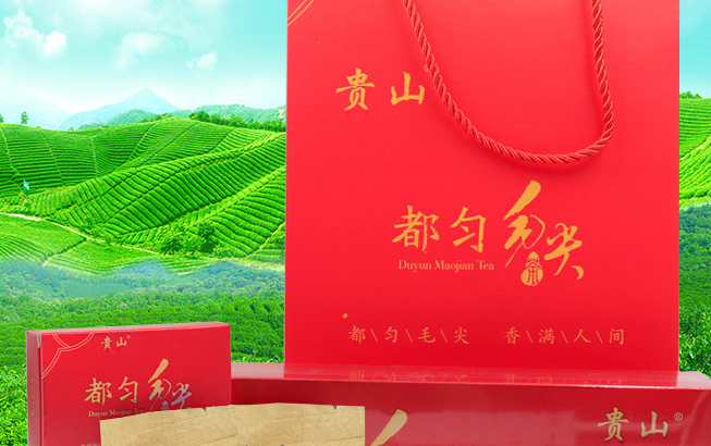 贵山食品包装设计欣赏(图3)