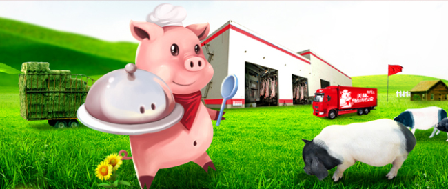 膳博士 MEAL BOSS膳博士食品包装设计欣赏(图4)