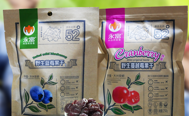 永富 YONGFU永富食品包装设计欣赏(图2)