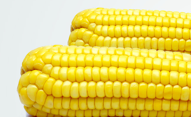 黄羊河食品包装设计欣赏(图2)