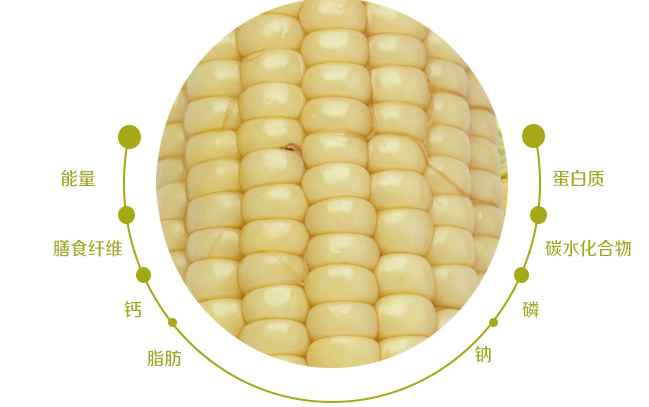 黄羊河食品包装设计欣赏(图3)