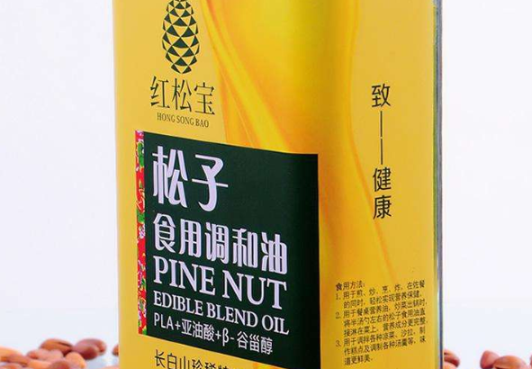 红松宝食品包装设计欣赏(图3)