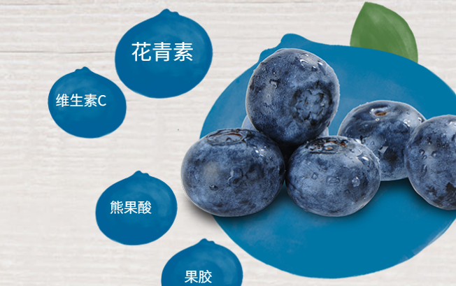 Driscolls怡颗莓食品包装设计欣赏(图3)