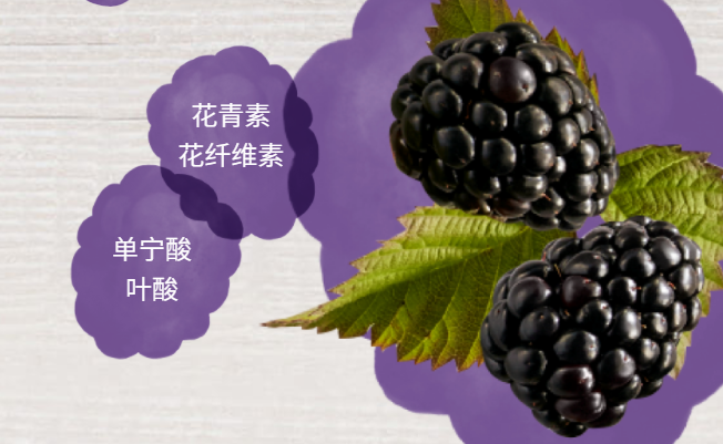 Driscolls怡颗莓食品包装设计欣赏(图4)