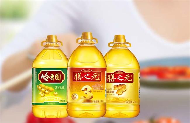 DONLINKS东凌食品包装设计欣赏(图2)