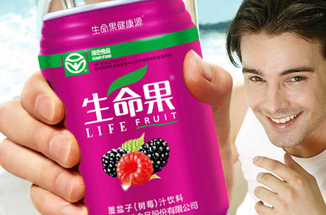 LIFE FRUIT生命果食品包装设计欣赏(图4)