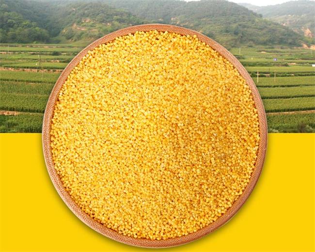 梁家河 liangjiahe梁家河食品包装设计欣赏(图4)