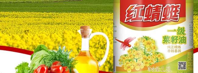 RDOIL红蜻蜓食品包装设计欣赏(图3)