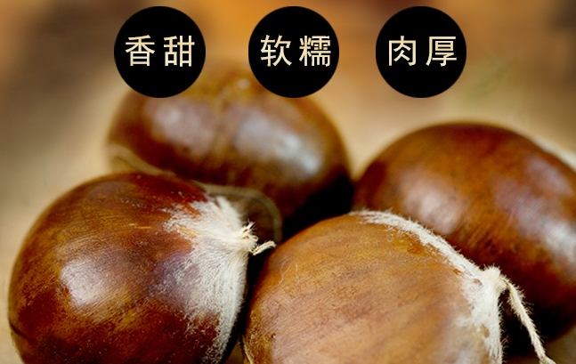 北菜园有机蔬菜 北菜园食品包装设计欣赏(图3)