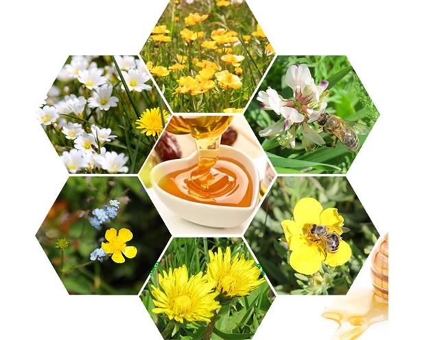 百信 BAIXIN百信食品包装设计欣赏(图3)