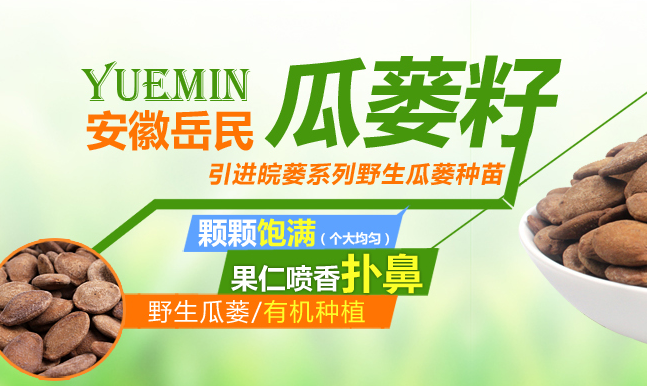 岳民 YUEMIN岳民食品包装设计欣赏(图3)