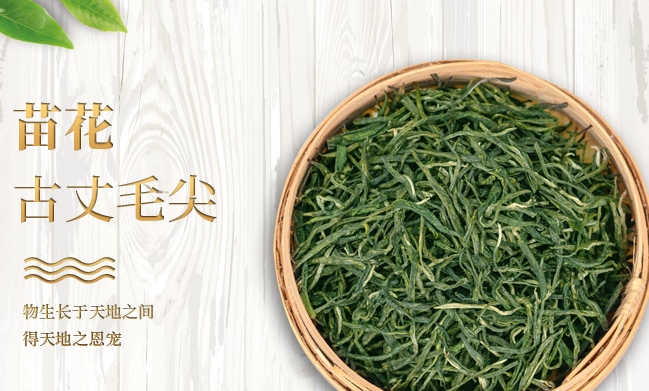 古丈毛尖食品包装设计欣赏(图2)