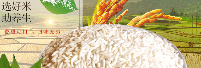 徐桥 徐桥食品包装设计欣赏(图3)