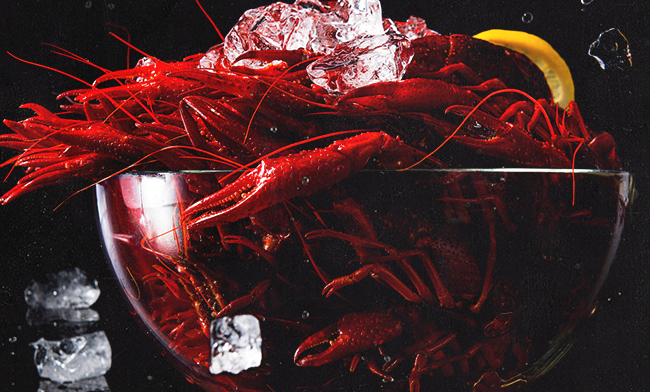 虾皇 虾皇食品包装设计欣赏(图2)