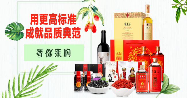 宁夏红 宁夏红食品包装设计欣赏(图2)