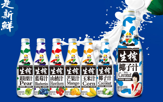 椰田 椰田食品包装设计欣赏(图4)