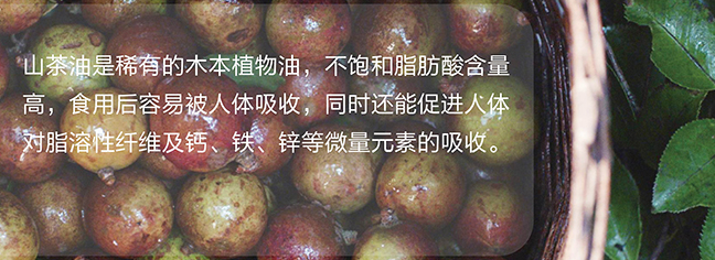 山润山茶油食品包装设计欣赏(图2)