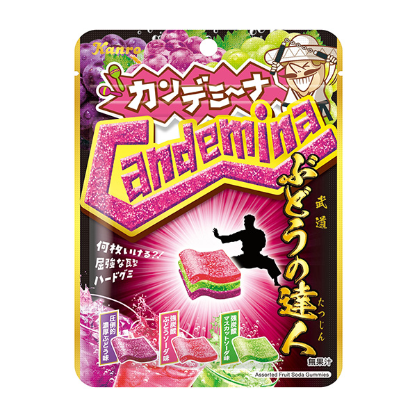  Ganagumi 葡萄达人包装设计欣赏(图1)